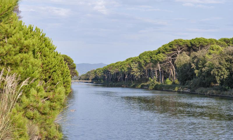 Parco regionale di San Rossore